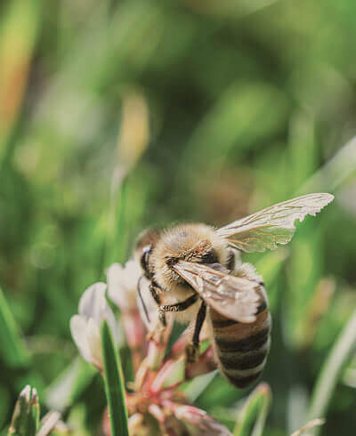 environmental-non-profit-16